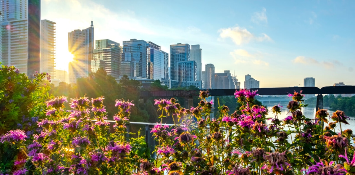 Photo of Austin skyline