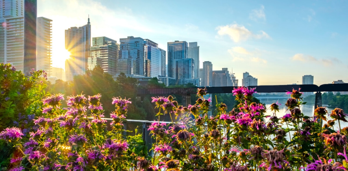 Photo of Austin Skyline | Living in Austin